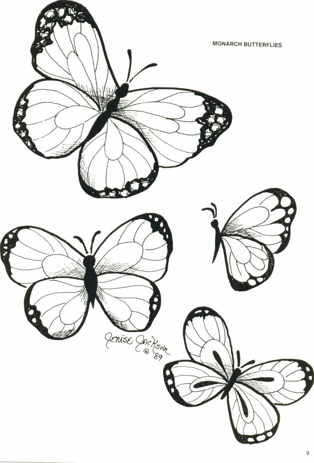 butterflies.jpg